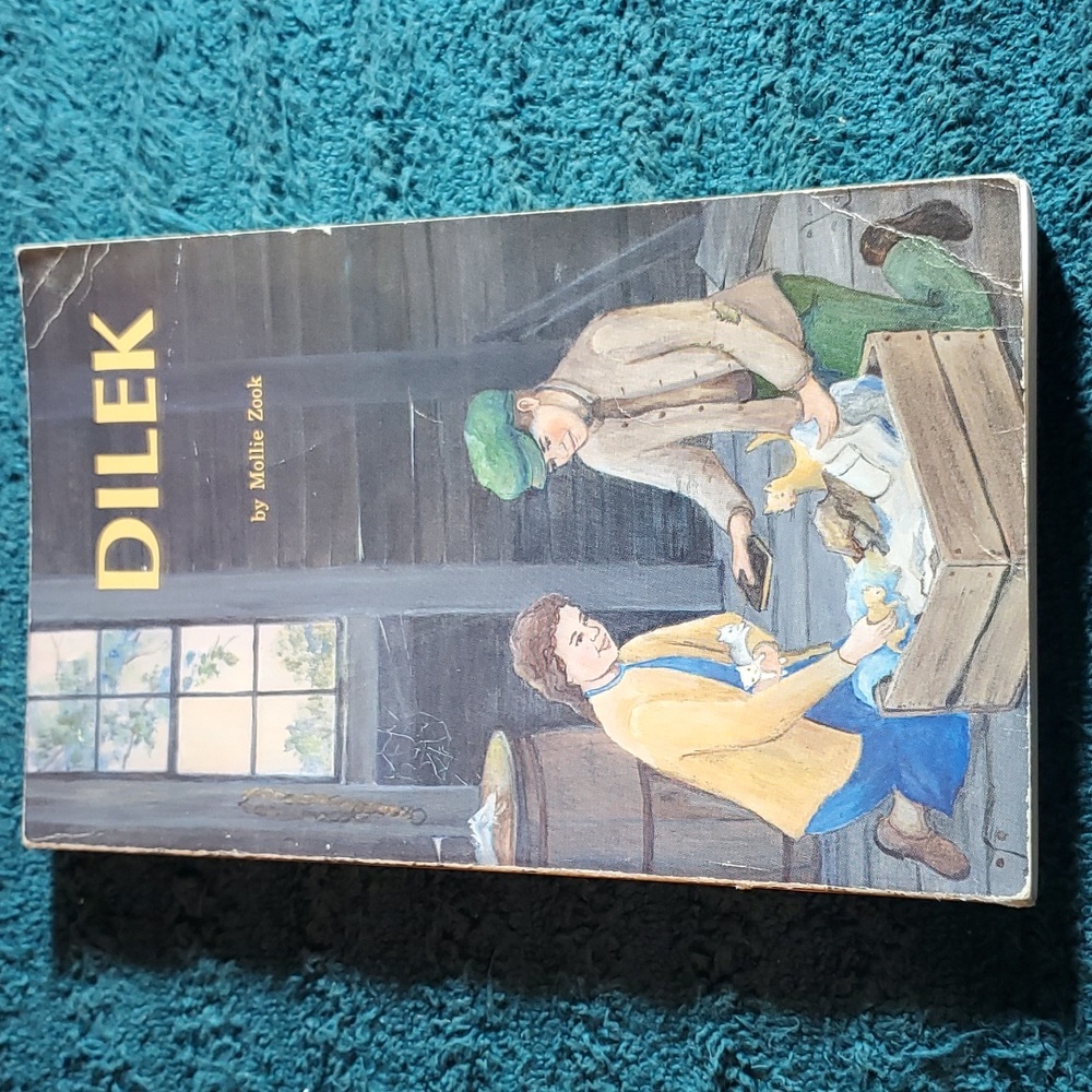 Dilek book